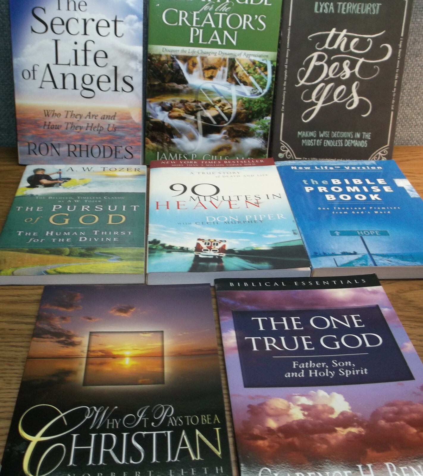 LOT Christian Faith Secret Life of Angels Creator’s Plan Bible Promise Book God