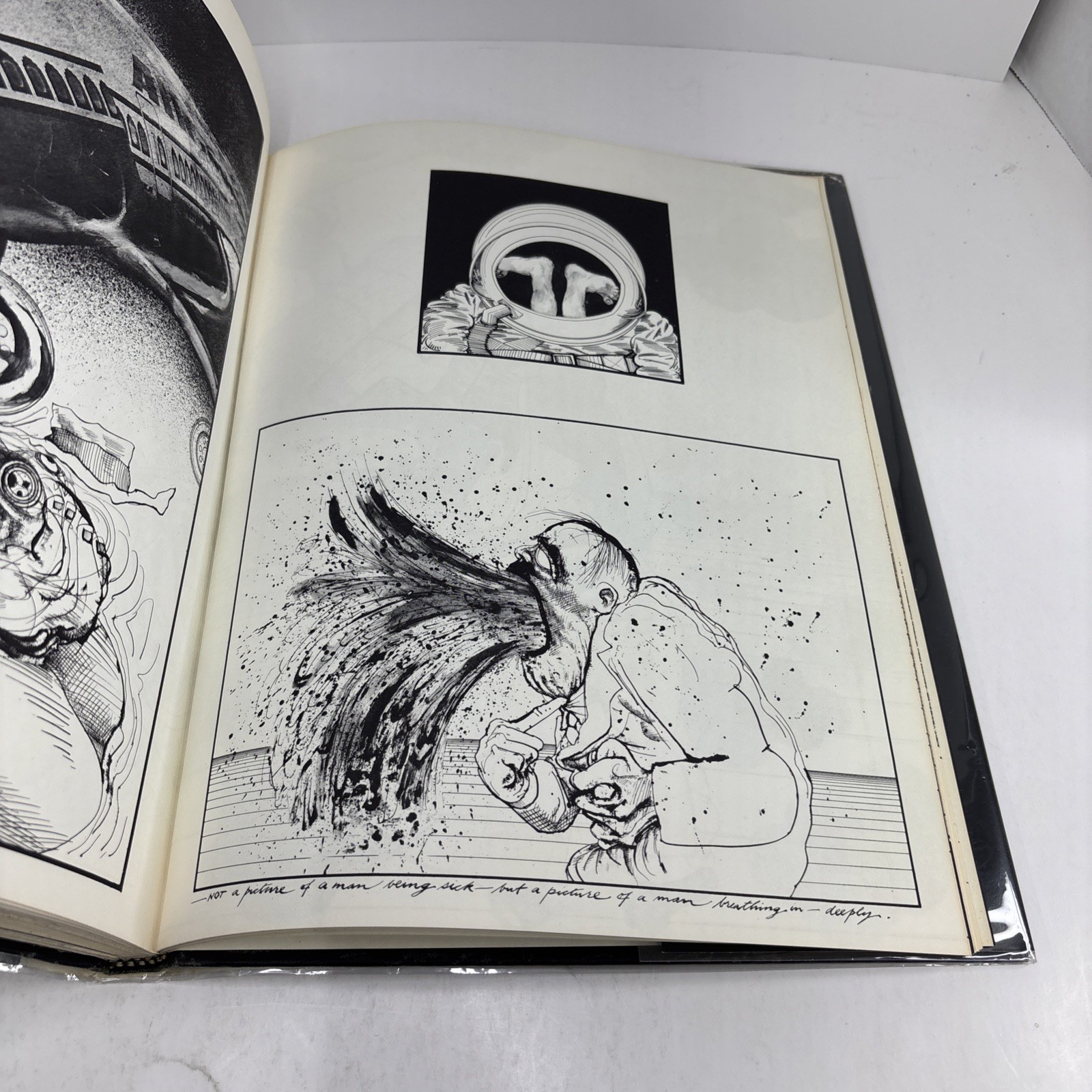 AMERICA by Ralph Steadman First Ed. Hardcover 1974 – Intro by Hunter S. Thompson