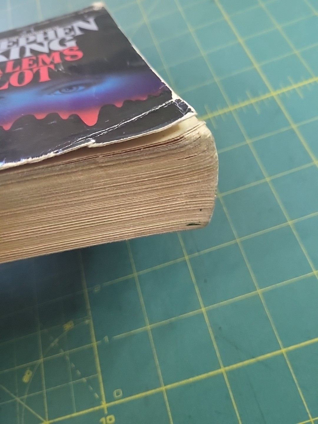 Stephen King ‘SALEM’S LOT – Signet Paperback – 1976 Horror Vintage Vampires