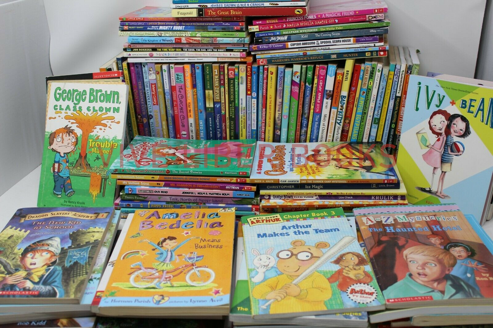 Bulk/Huge Lot of 300 of Children’s Kids Chapter Books – Random – Free Shipping!
