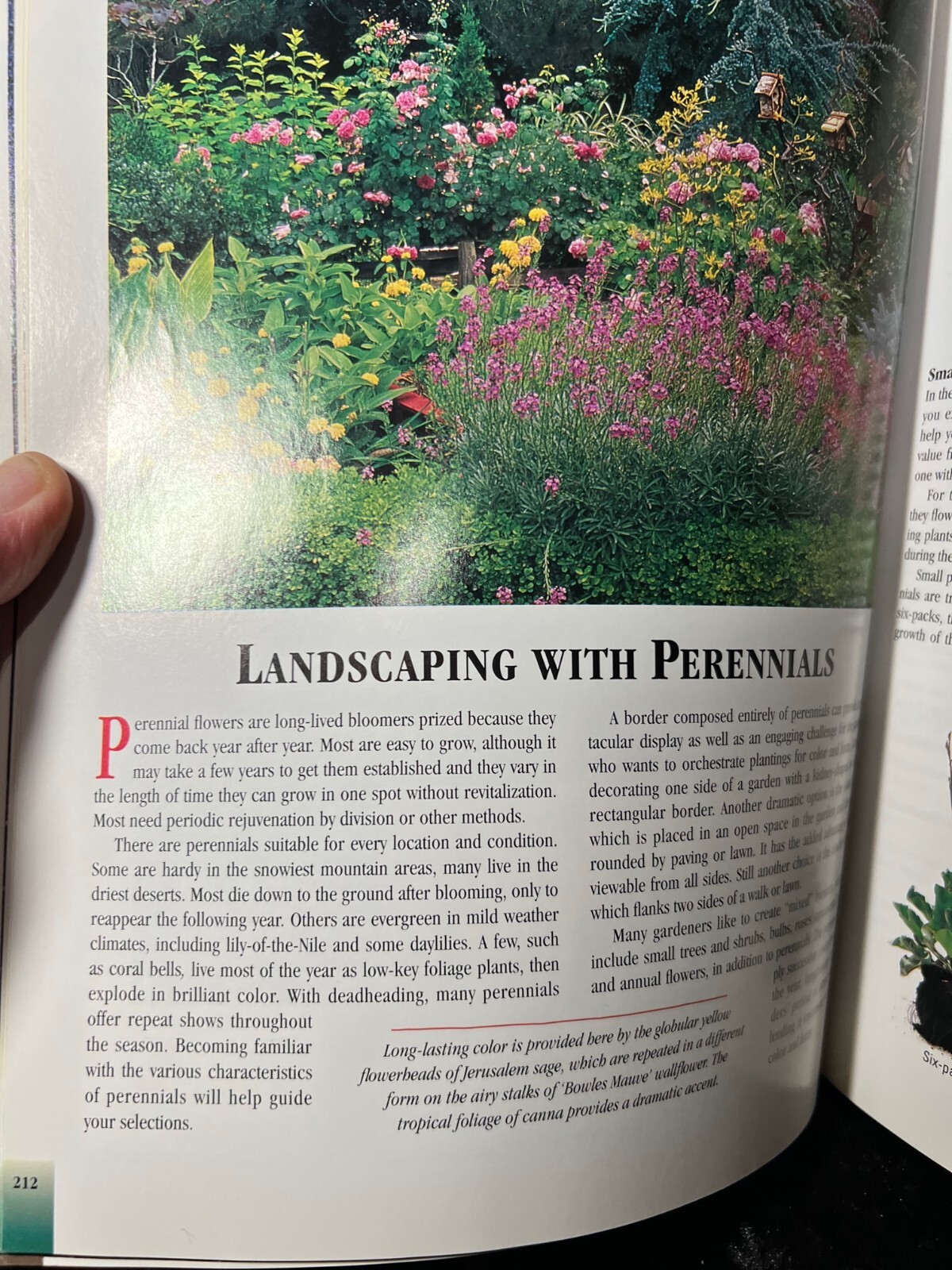 Sunset Western Landscaping 1997 First Edition Soft Cover 8.25″ x 10.75″ Book
