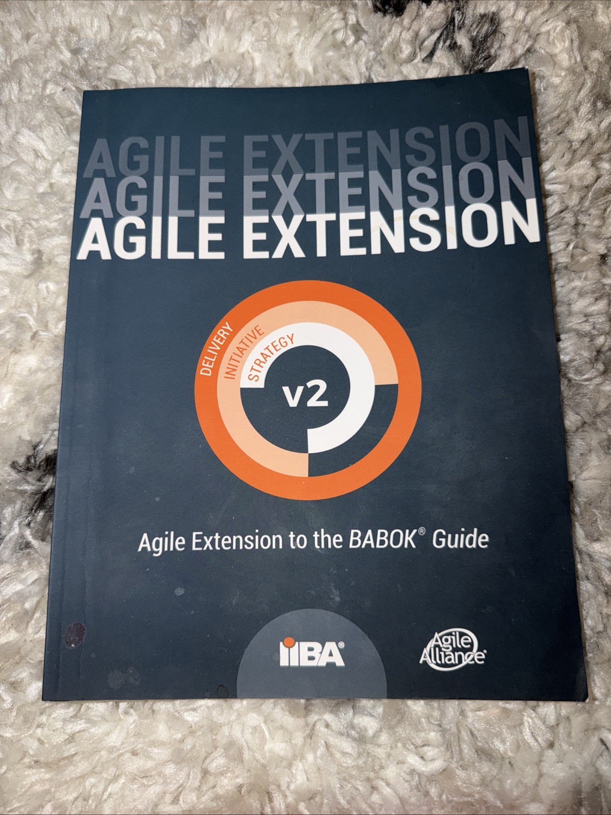 Agile Extension to the BABOK(R) Guide: Version 2 by Iiba