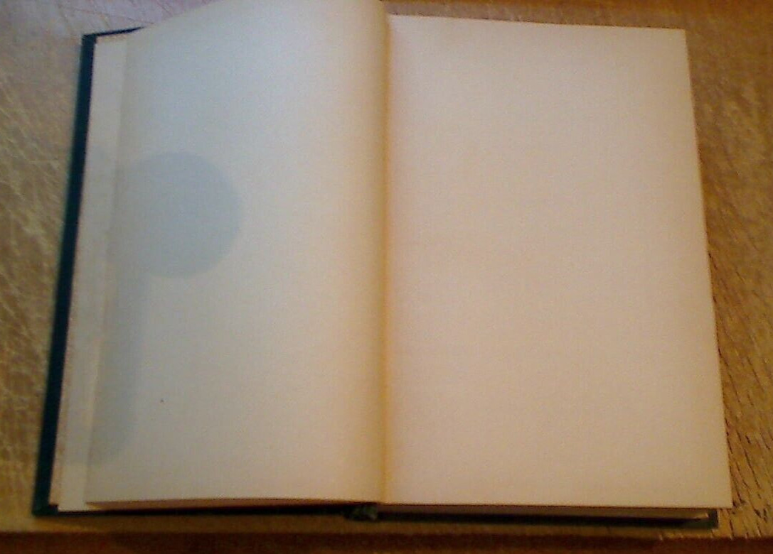 History of Jacksonville, Florida & Vicinity 1513 to 1924-Frederick Davis-1925 ed