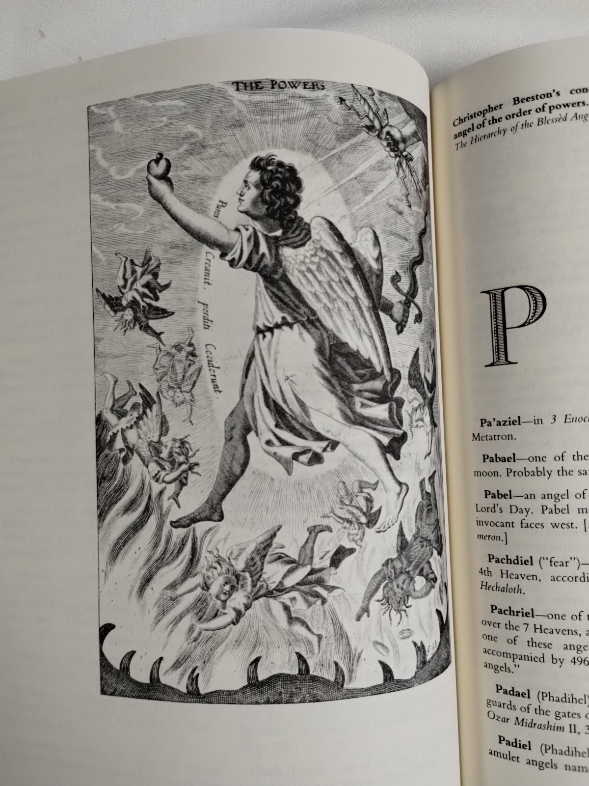 Dictionary Of Angels by Gustav Davidson 1971 Paperback First Free Press Edition