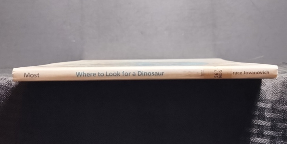 Where to Look for a Dinosaur by Bernard Most