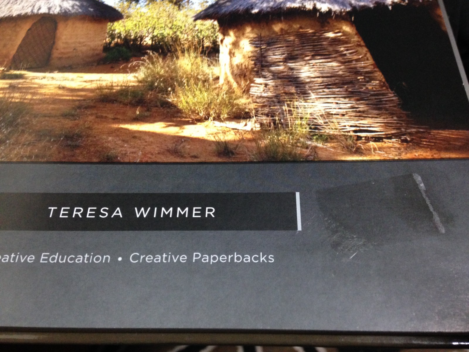 AGENTS OF GOVERNMENT PEACE CORPS TERESA WIMMER HARDBACK BOOK FIRST EDITION