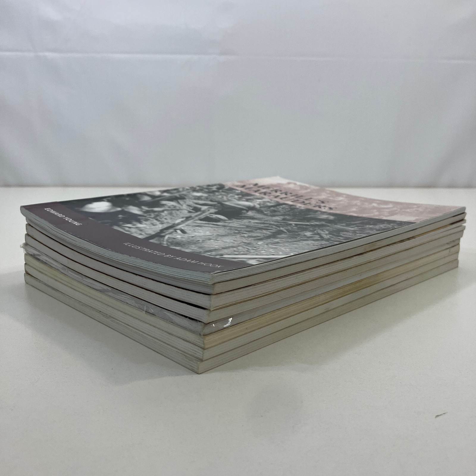 8 Osprey Military Publishing Warrior Series Misc Volumes Trade Paperback Lot