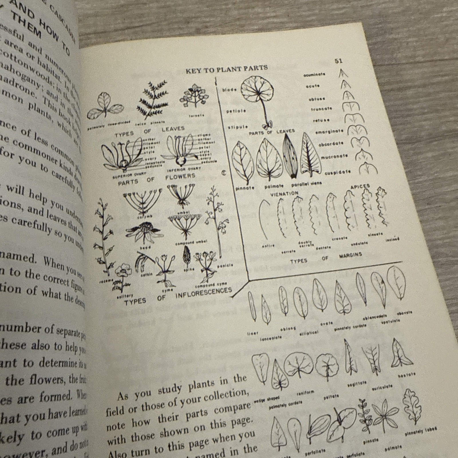 Lot 4 Books Wildflowers & Plants By Different Authors
