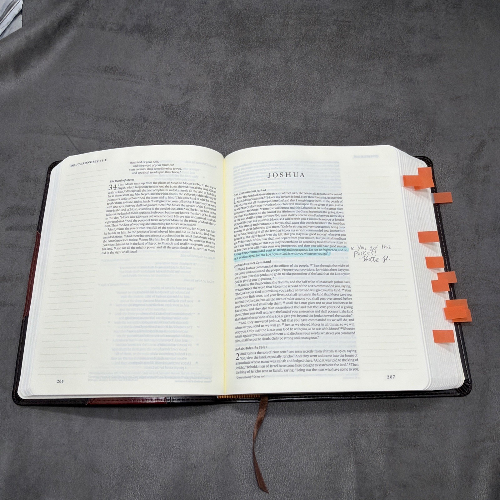 ESV Single Column Journaling Bible (Crossway 2016), TruTone PERSONALIZED