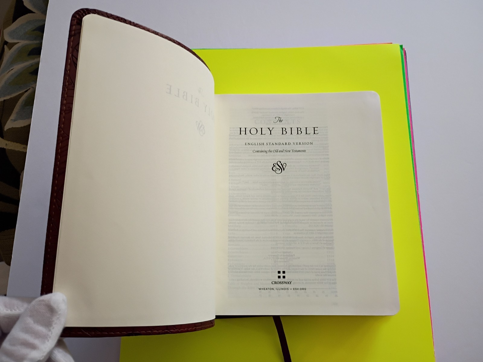 ESV Single Column Journaling Bible (TruTone, Chestnut, Leaves Design) Crossway