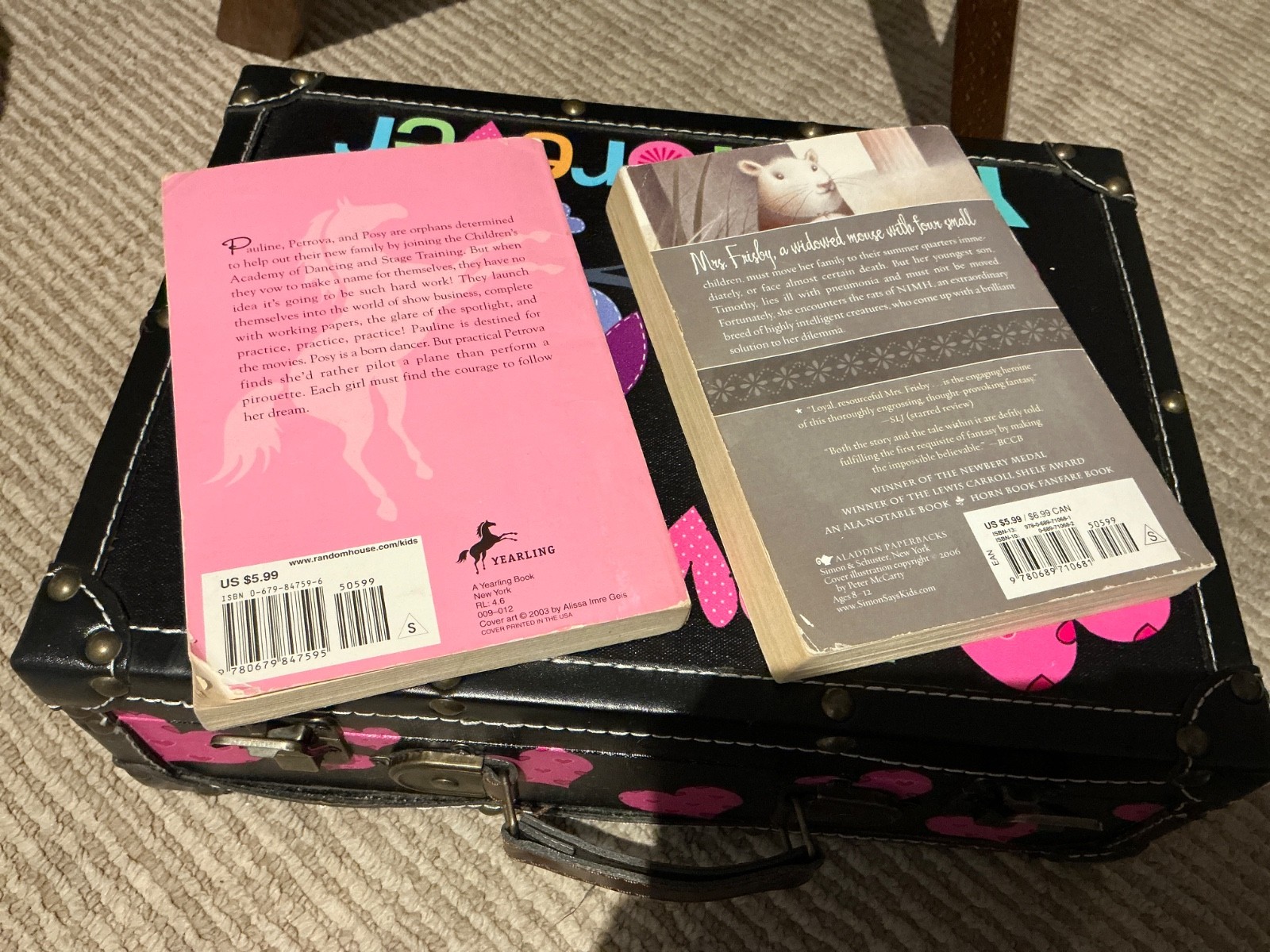 Suitcase LOT of Chapter Books GIRLS interest 12 Various Fiction Adventure—Good