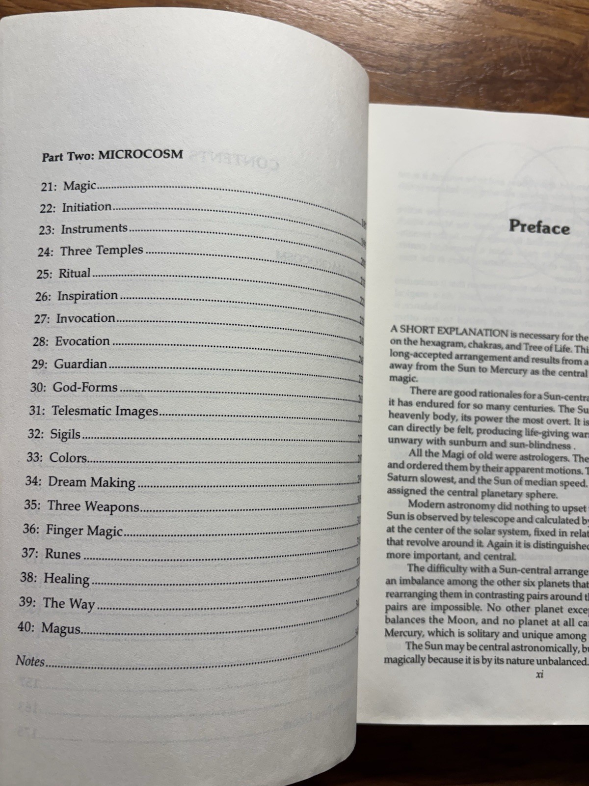 The New Magus Donald Tyson Ritual Magic Personal Process Occult Book