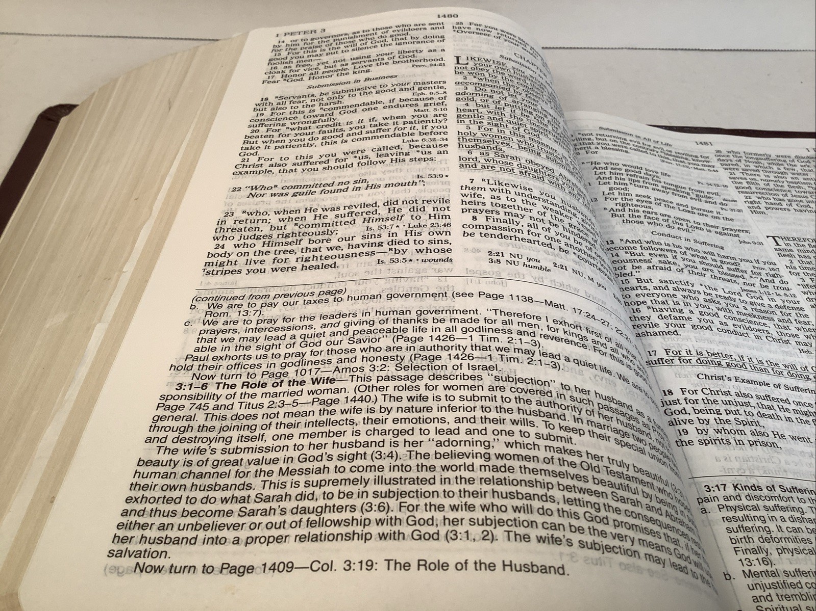 The New Open Bible NKJV Large Print Nelson New King James Bonded Leather