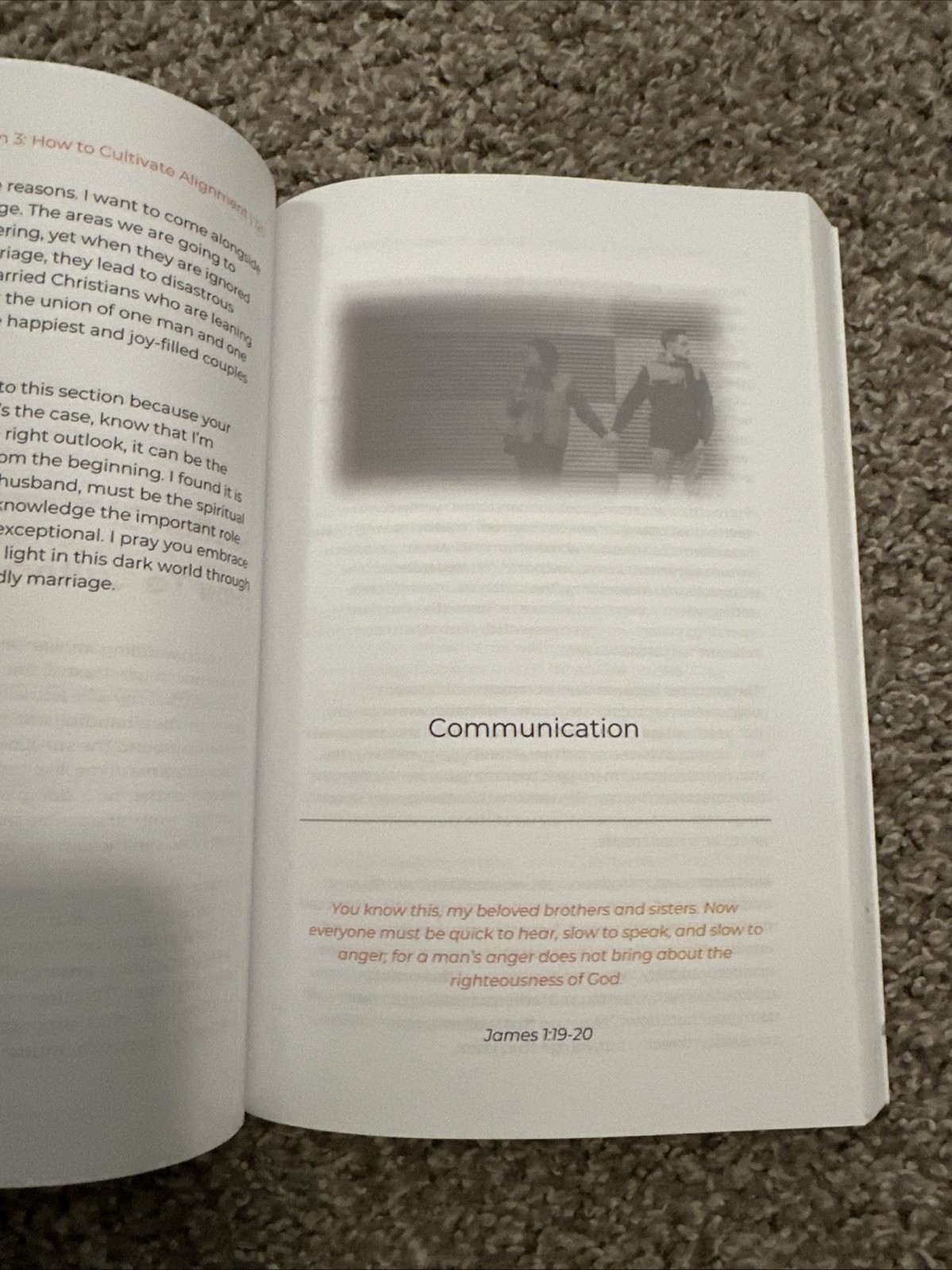 Unleashing the Lion Within by Chris Grainger 2022 Christian Men Leadership PB