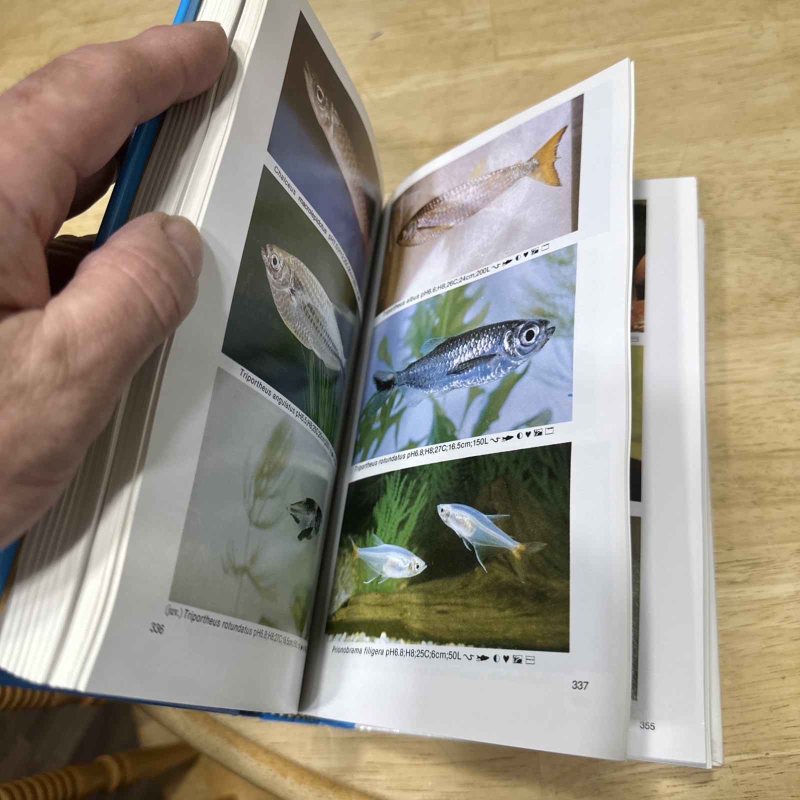 Dr Axelrods Mini Atlas of Freshwater Aquarium Fishes by Dr. Axelrod, Herbert R