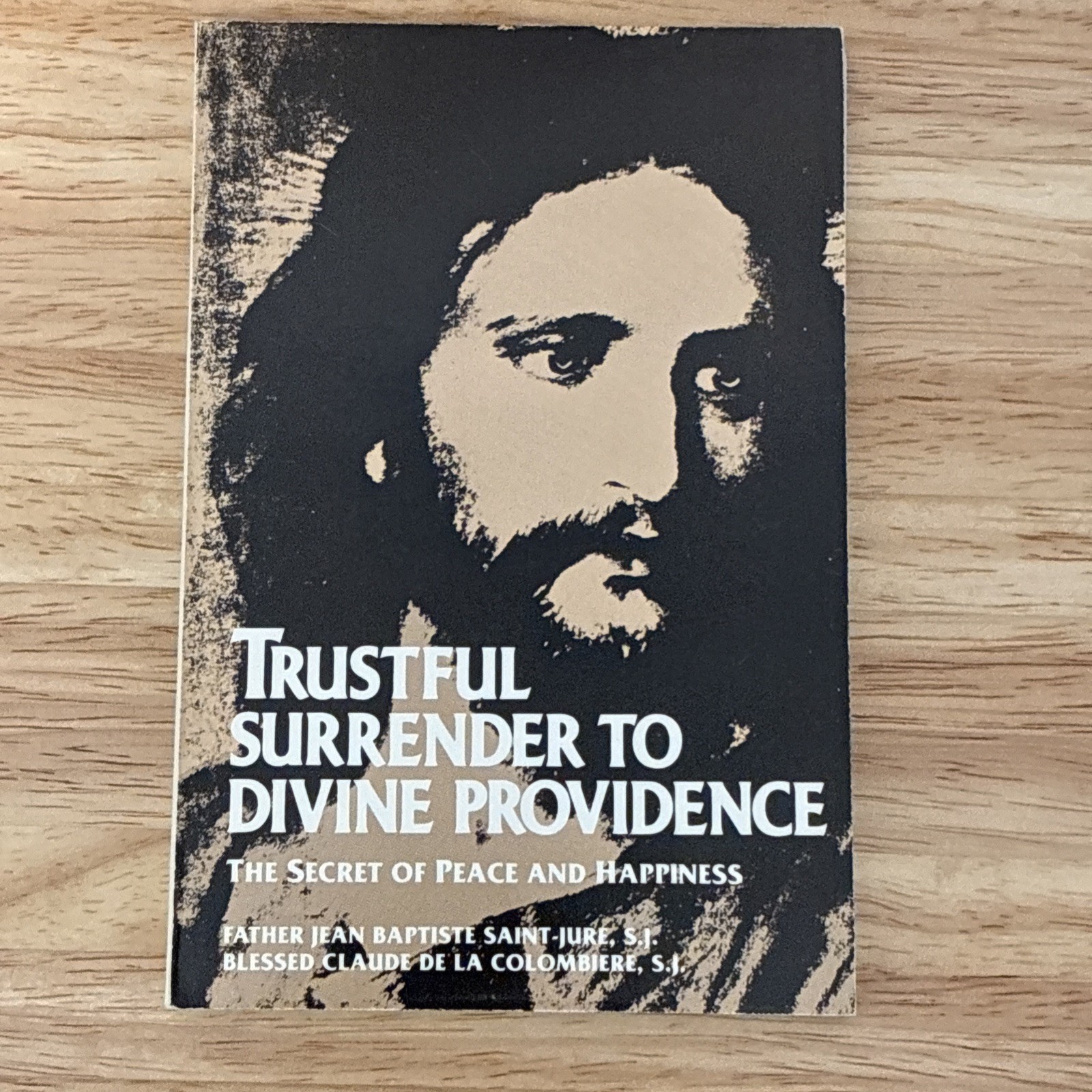 Traditional Catholic Book Lot, 11 piece – Padre Pio – Sinner’s Guide, TAN Books