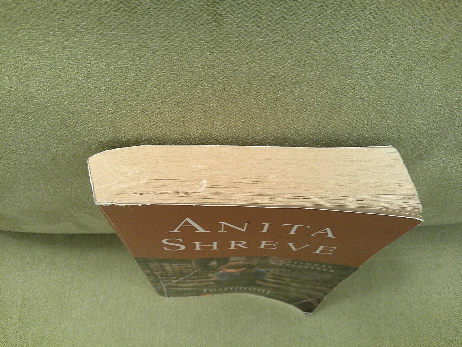 Testimony by Anita Shreve, 9780316067348, Paperback