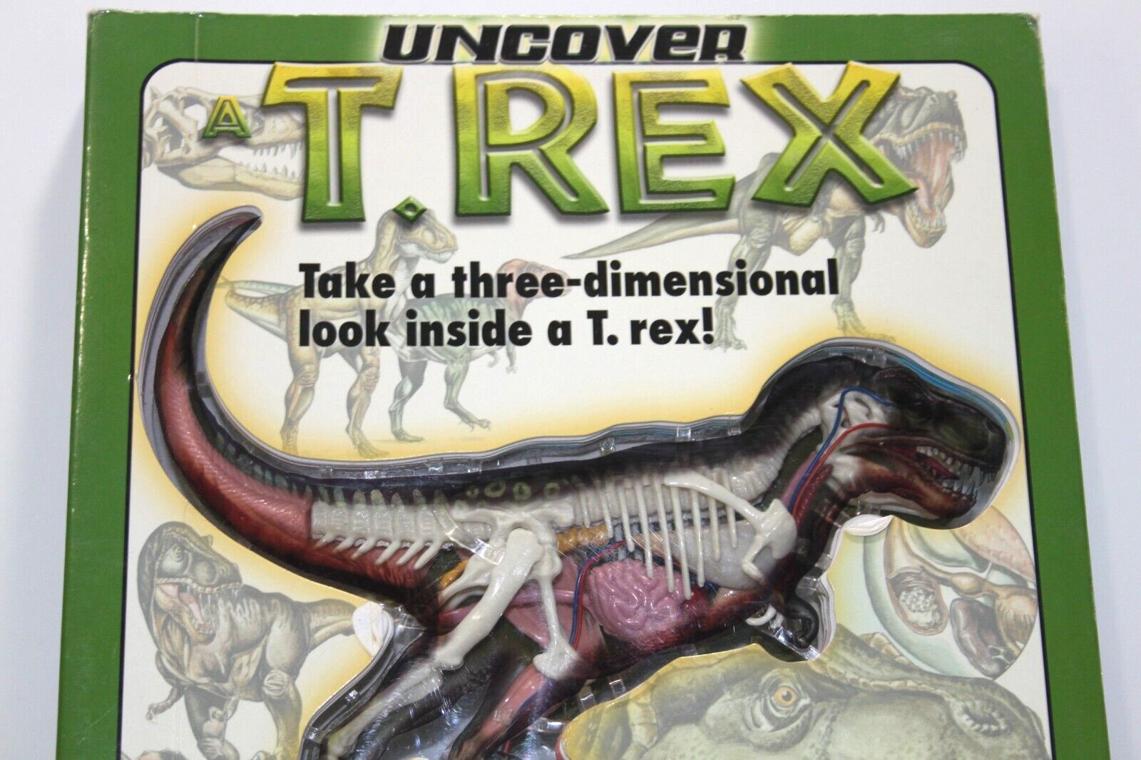 Uncover T- Rex Board Book Dennis Schatz 3D Dinosaur Bones Tyrannosaurus Kids