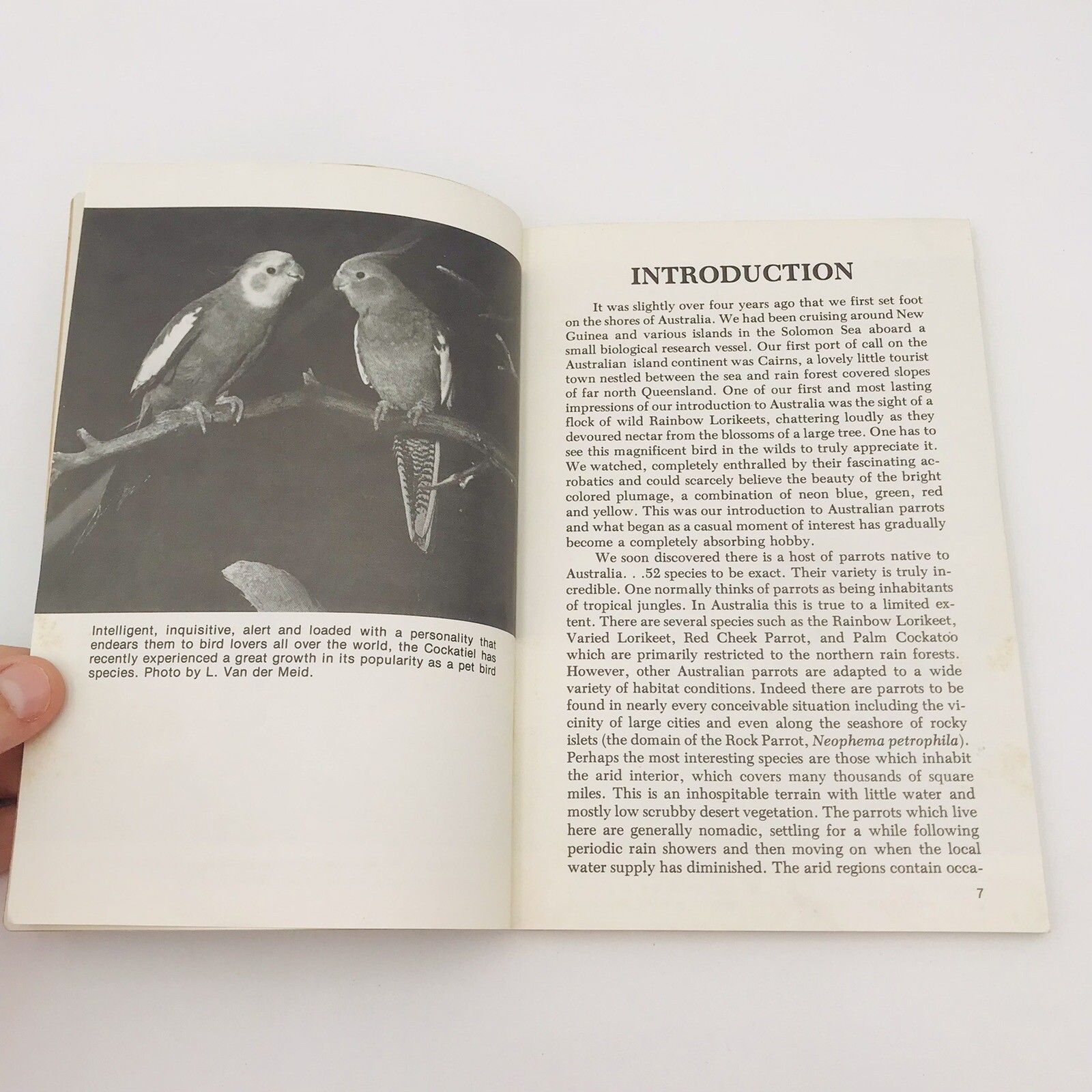 All About Cockatiels Gerald & Connie Allen Paperback Color Illus VTG 1977 Bird