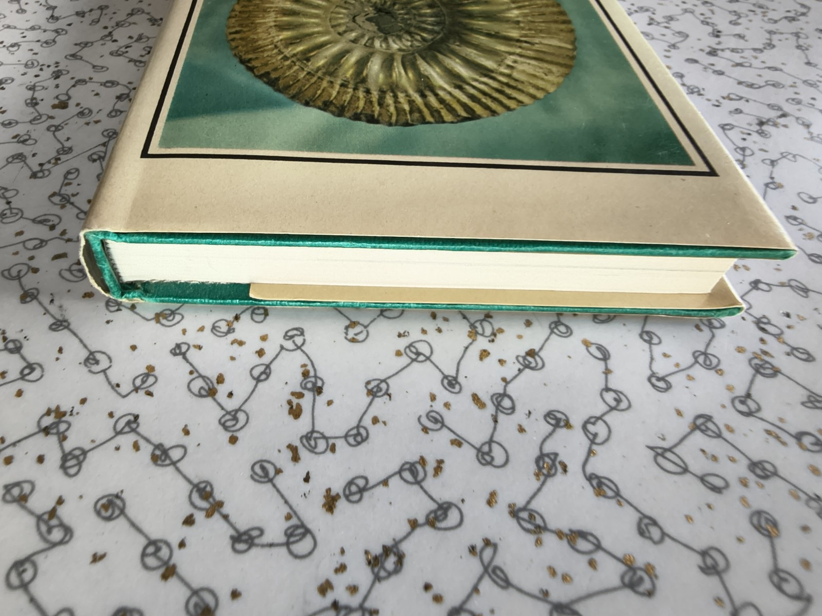 The Observer’s Book of Fossils by Rhona M. Black 1977 First Edition Hardback