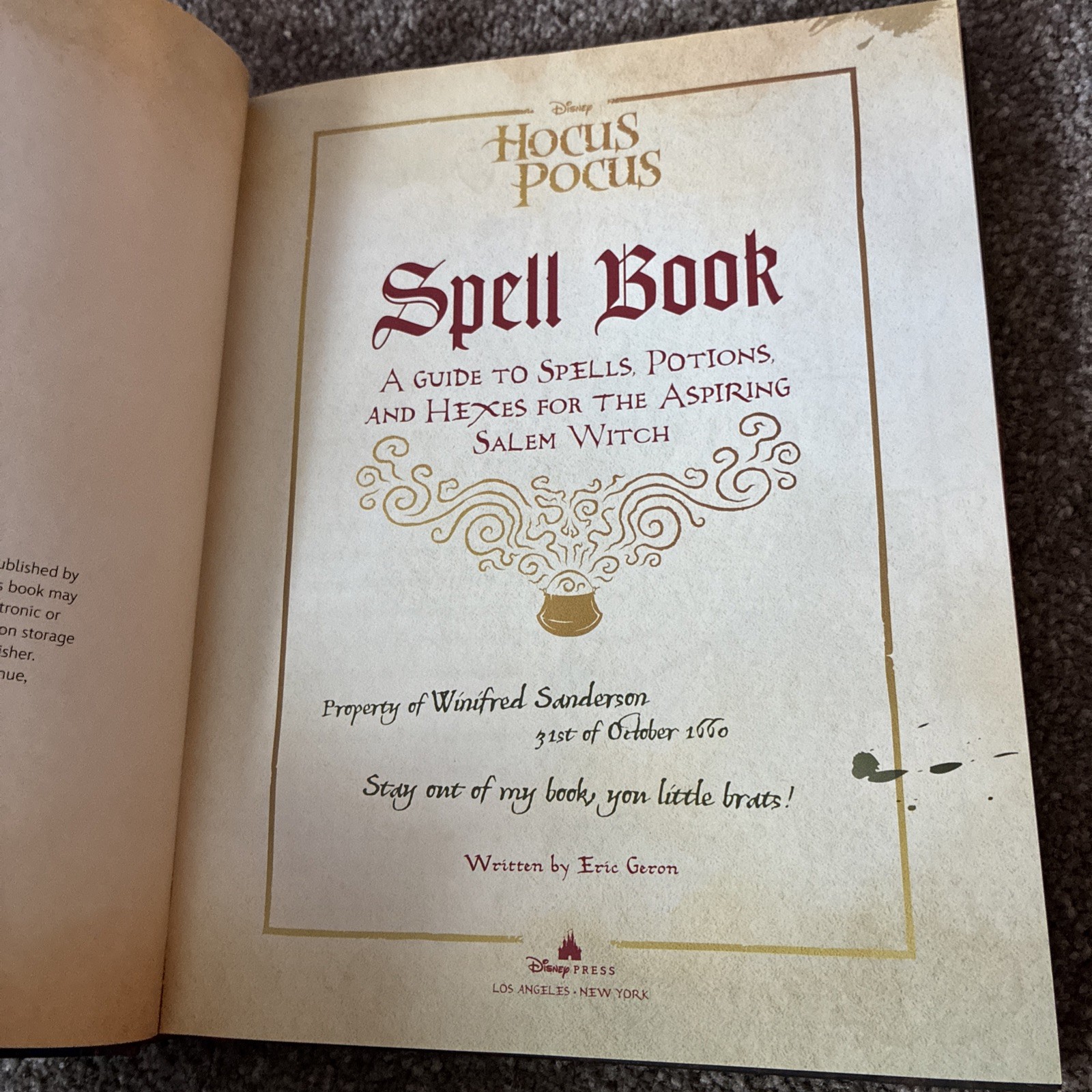 Disney Hocus Pocus Book Lot The Illustrated Novelization & Spell Book Halloween