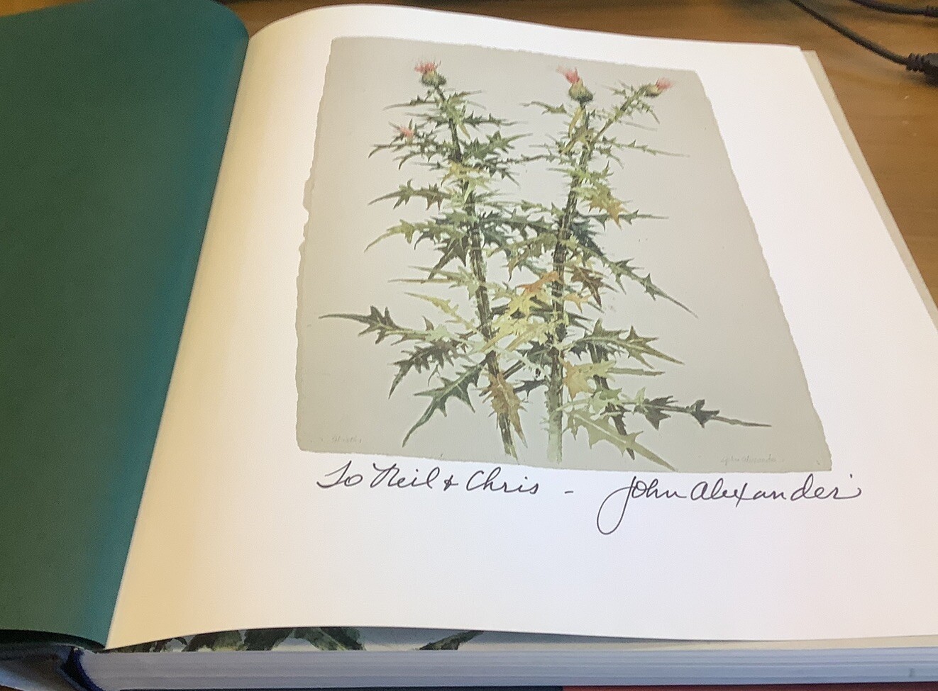 John Alexander : A Retrospective by Jane Livingston and John Alexander (2007,…