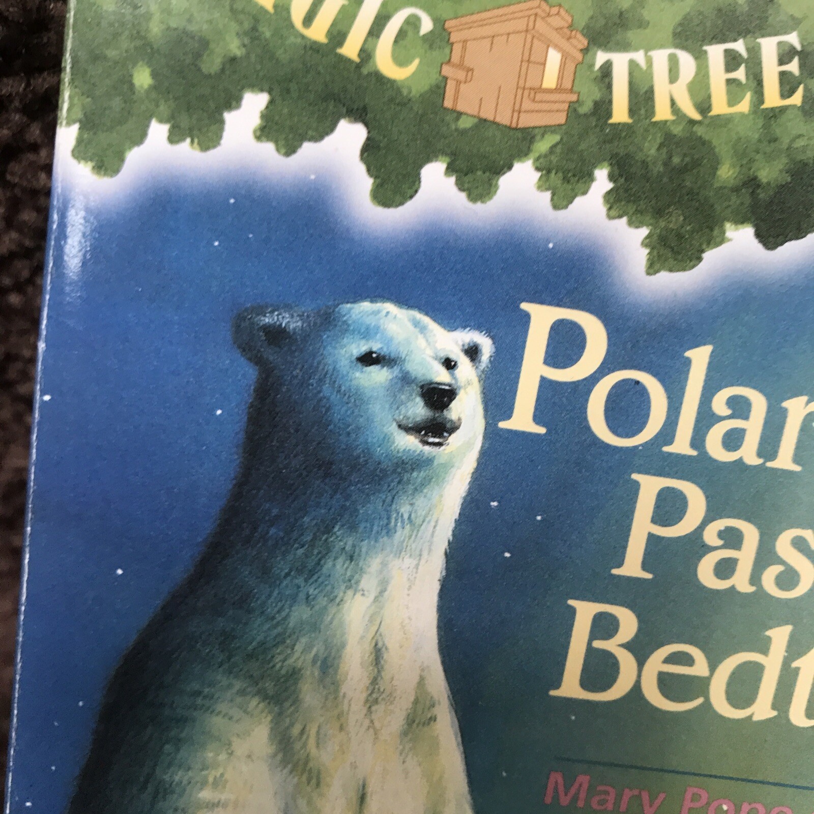 Polar Bears Past Bedtime by Mary Pope Osborne