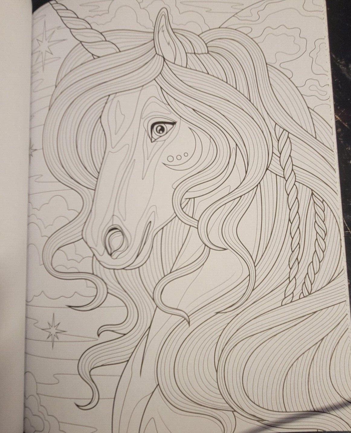 COLOR ME MAGNIFICENT Vol 12 Adult Coloring Book With 47 Prints Ready To Frame