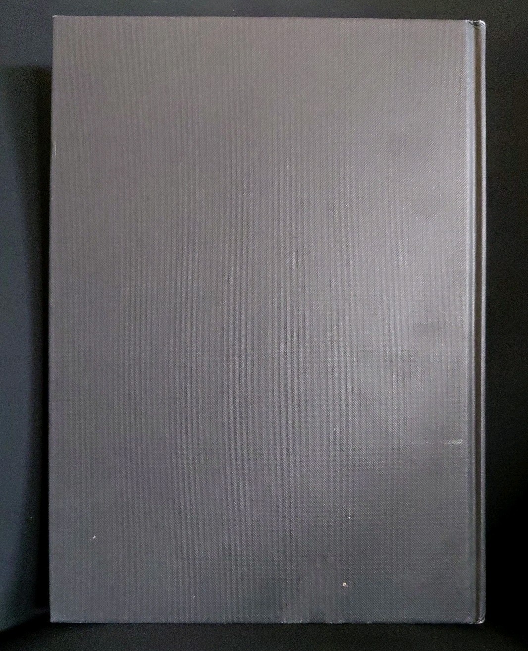 THE SILVER ARM By Jim Fitzpatrick – Hardcover