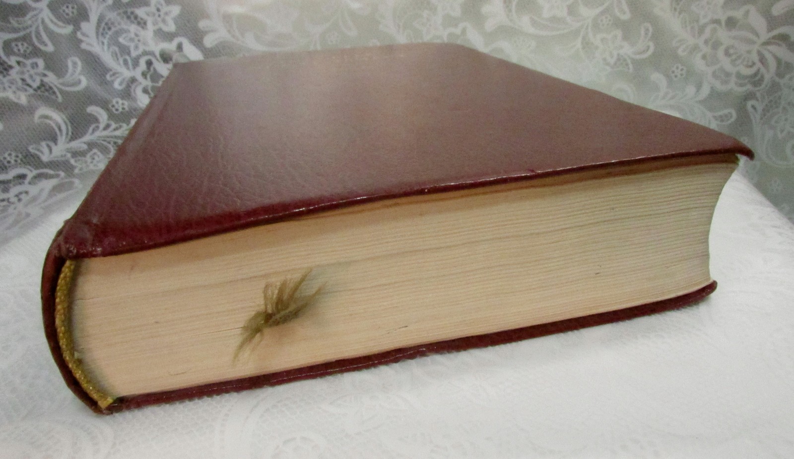 THE GREEK NEW TESTAMENT DICTIONARY 3rd Edition United Bible Societies ©1983