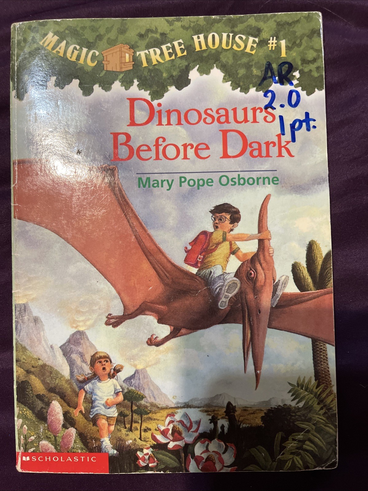 Dinosaurs Before Dark by Mary Pope Osborne (1992, Digest Paperback)