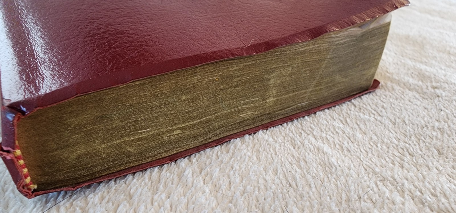 The New American Bible Catholic World Press Red Letter Edition Crimson Cover 91