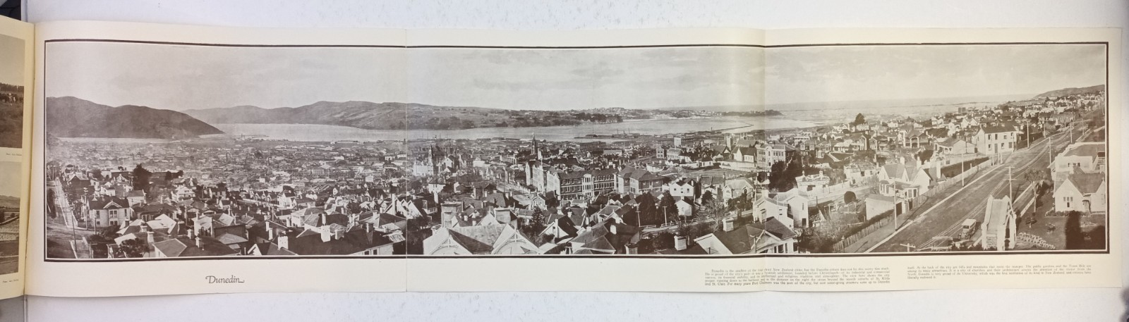 1920s Panoramic View Book Of New Zealand. 5 90x24cm Prints. Whitcombe & Tombs