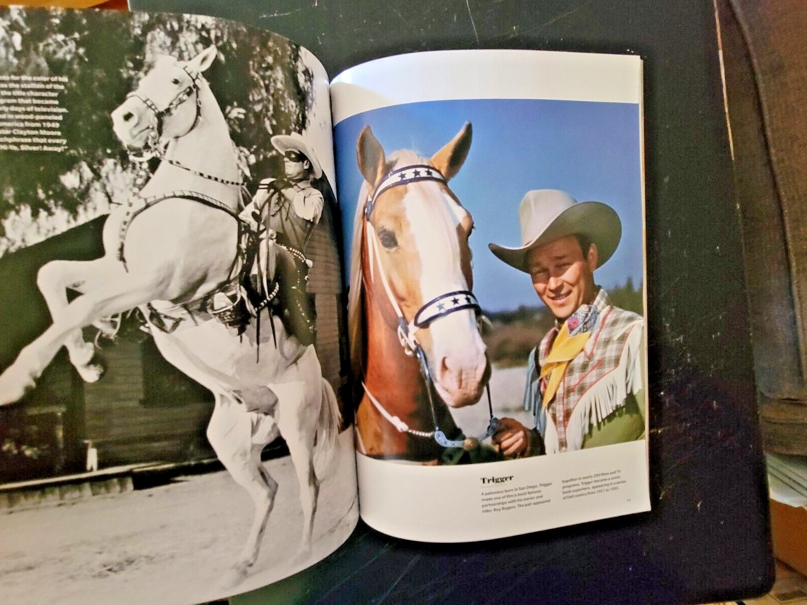 HORSES by LIFE The World’s Most Beautiful Animal – Plus Why We Love Horses
