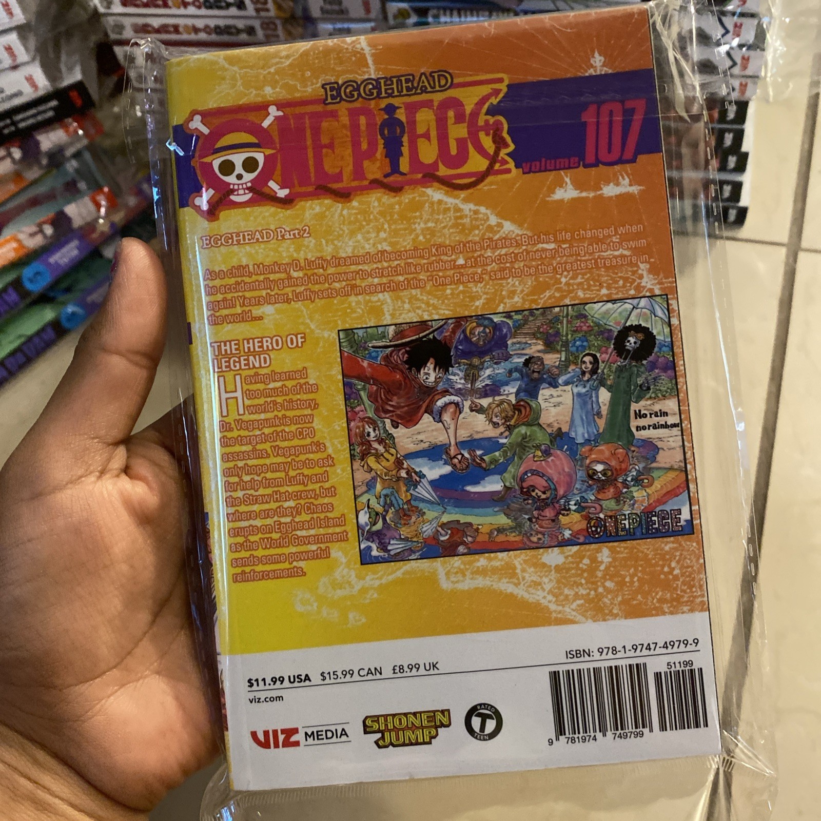 One Piece, Vol. 107: Volume 107 by Eiichiro Oda