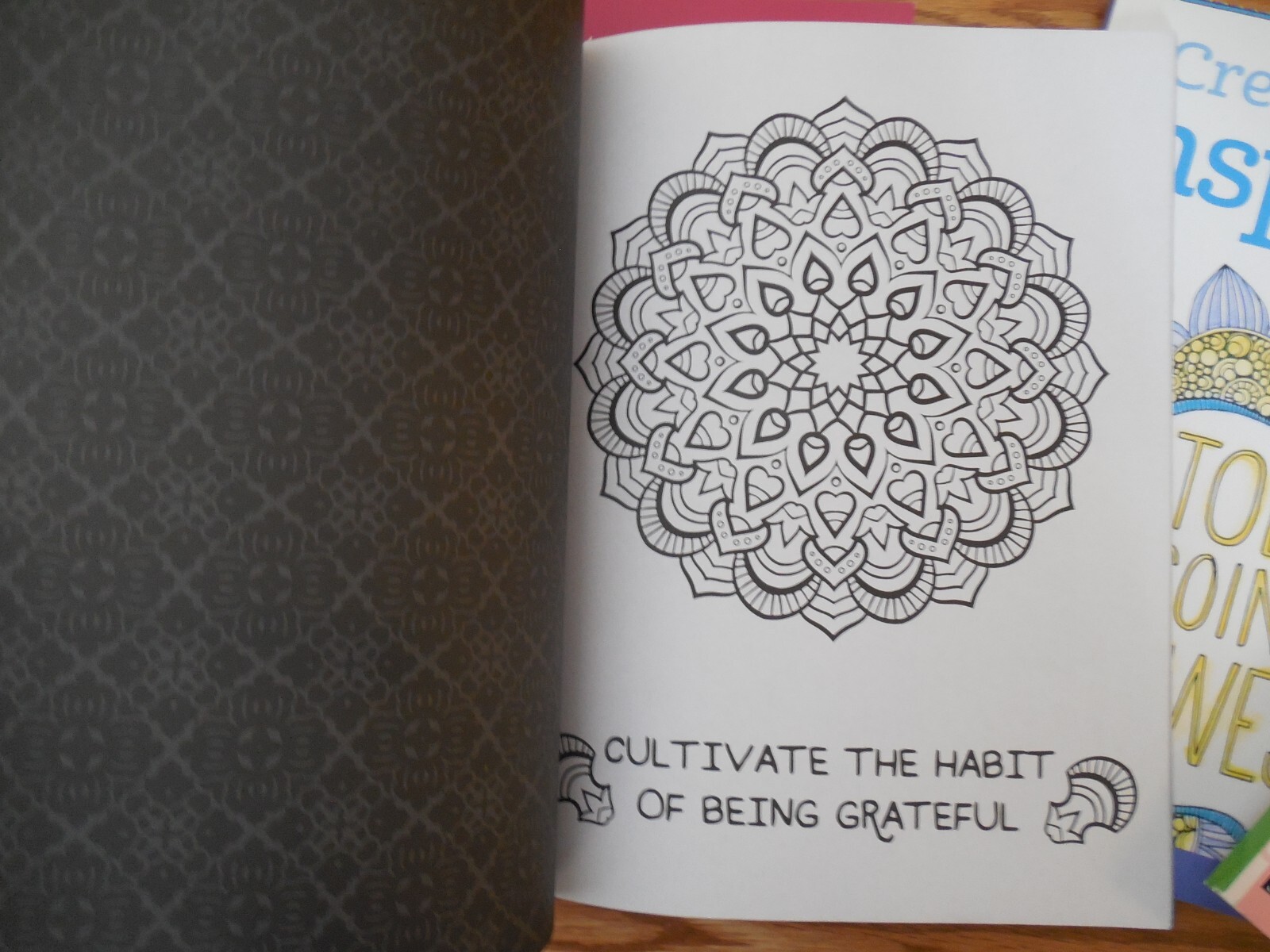 NEW Lot of 4 Adult Coloring Books: Spot of Tea*Mindful Mandala*Inspirations*Zen