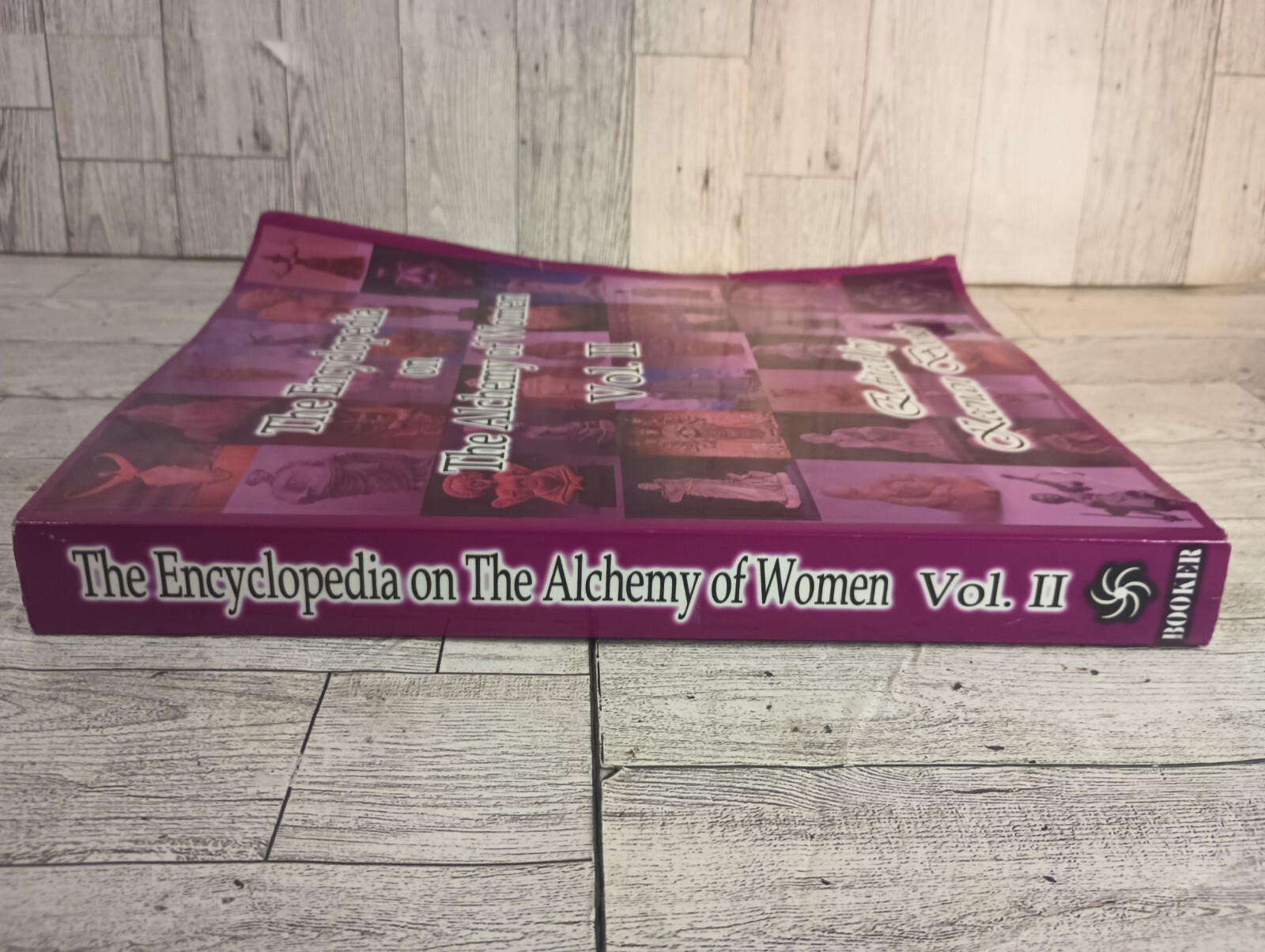 Keenan BookerThe Encyclopedia on the Alchemy of Women Vol. II (2) (The Uterus)