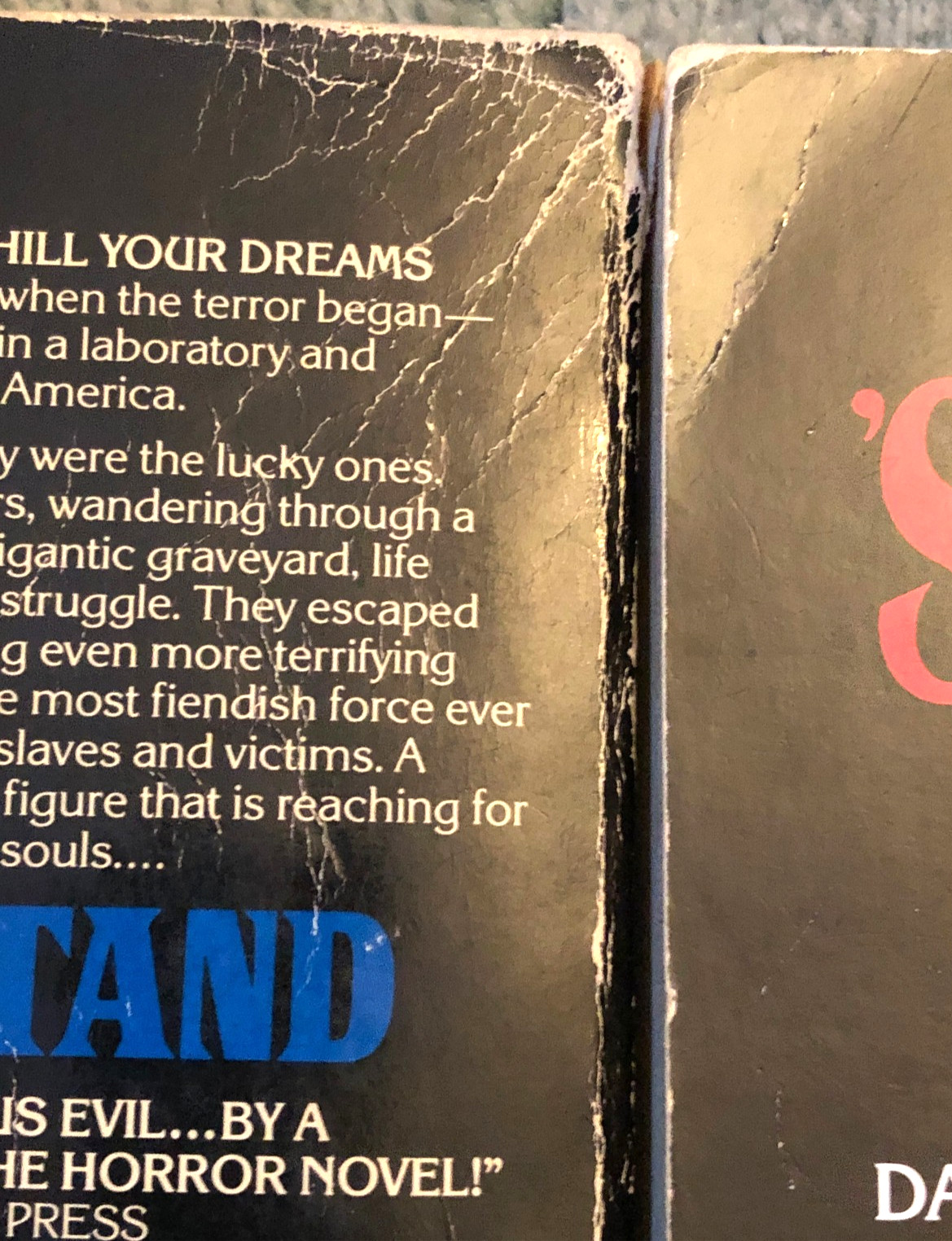 Stephen King books, Salem’s Lot & The Stand, Signet paperbacks