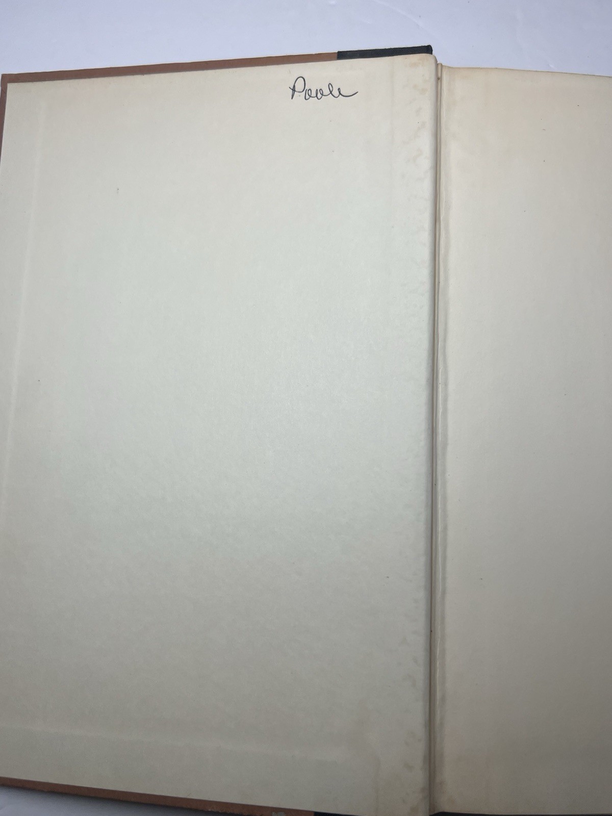 Cujo Stephen King 1981 Hard Cover Viking Press Book Club Ed. $13.95 DJ Vintage