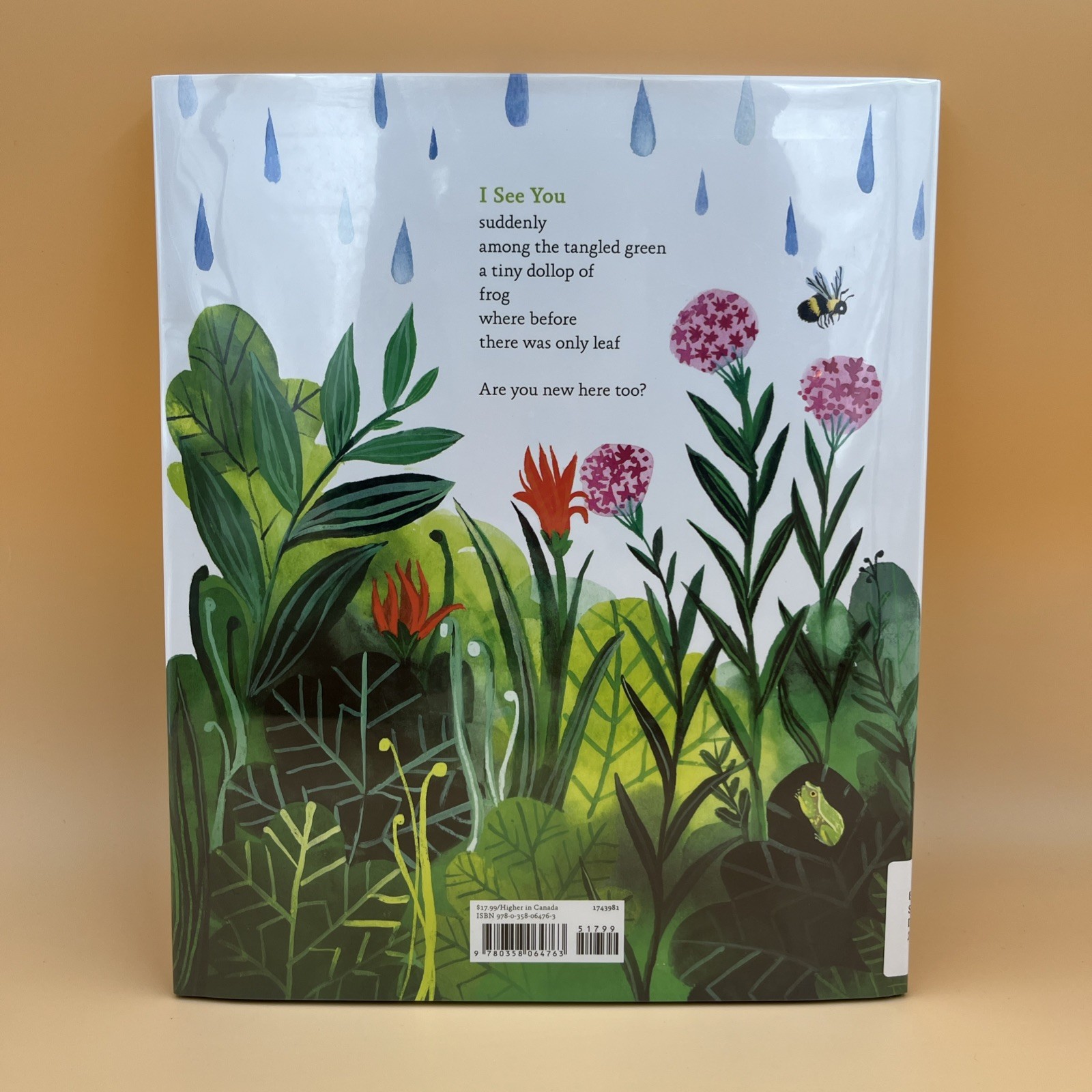 Dear Treefrog by Joyce Sidman Children’s Nature Poetry Book
