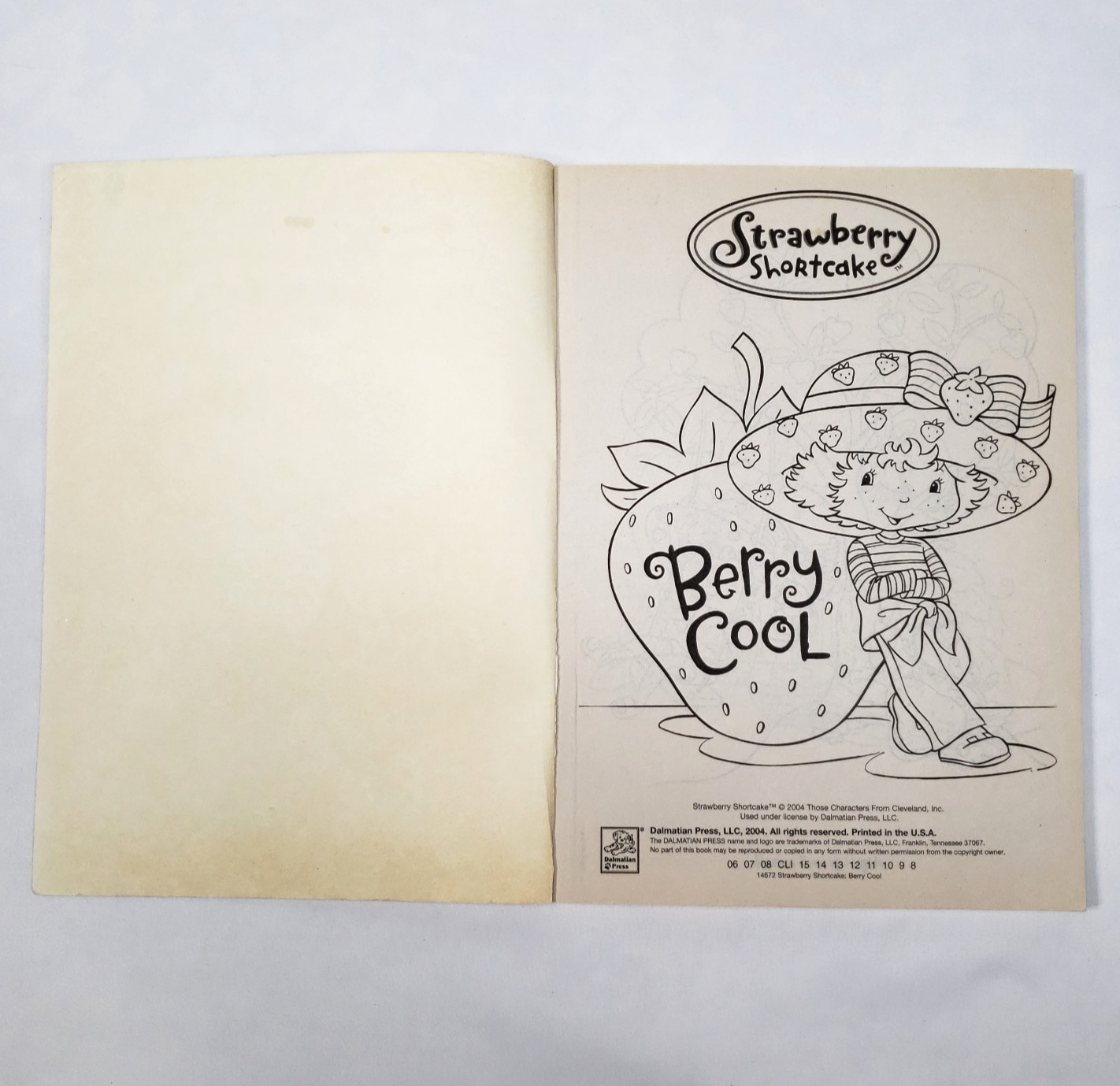 Strawberry Shortcake Coloring Book Dalmatian Press Vintage 2004 USED Berry Cool