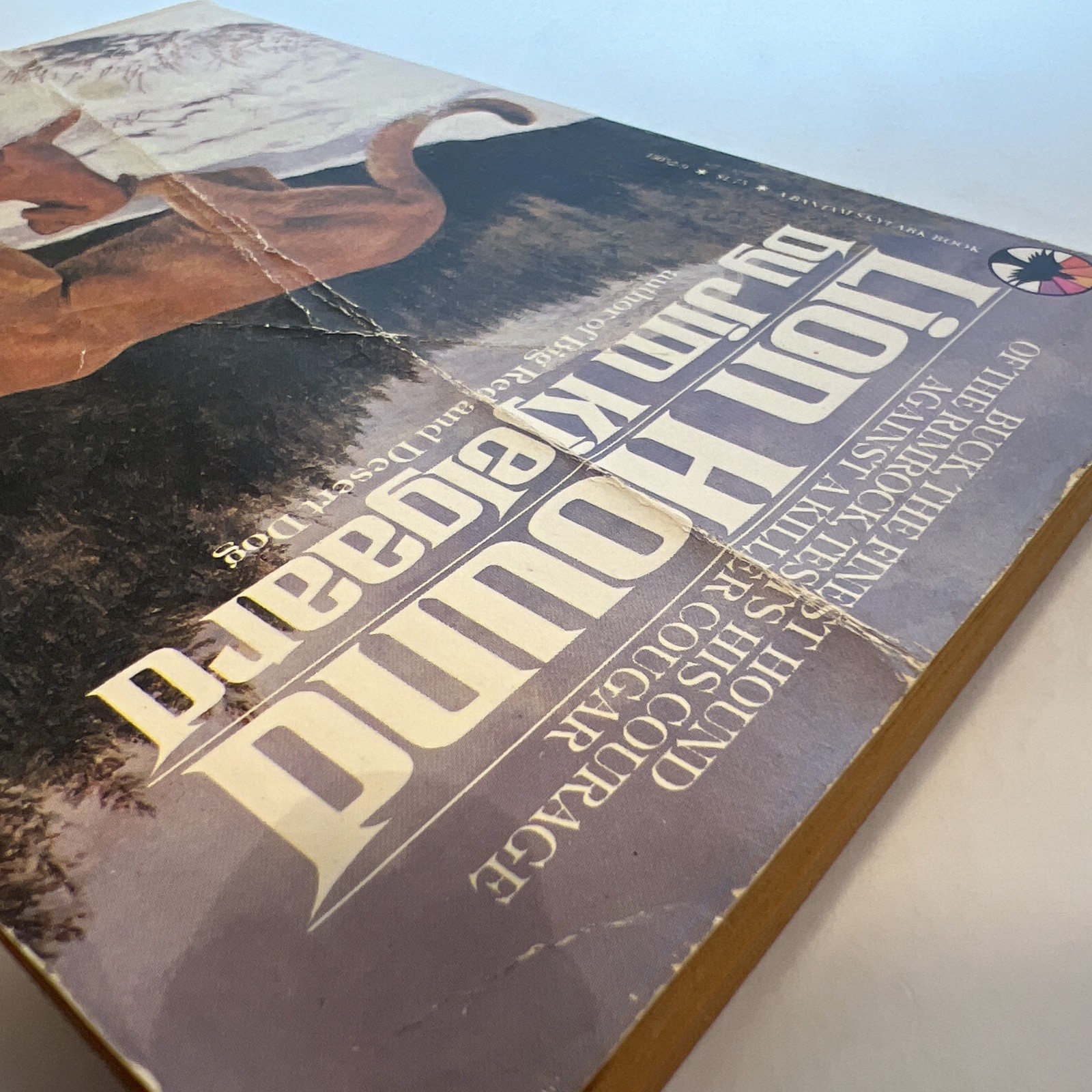 Lion Hound (1980 Softcover 5 1/4 x 7 1/2 inches, 131 pages. Bantam Skylark…