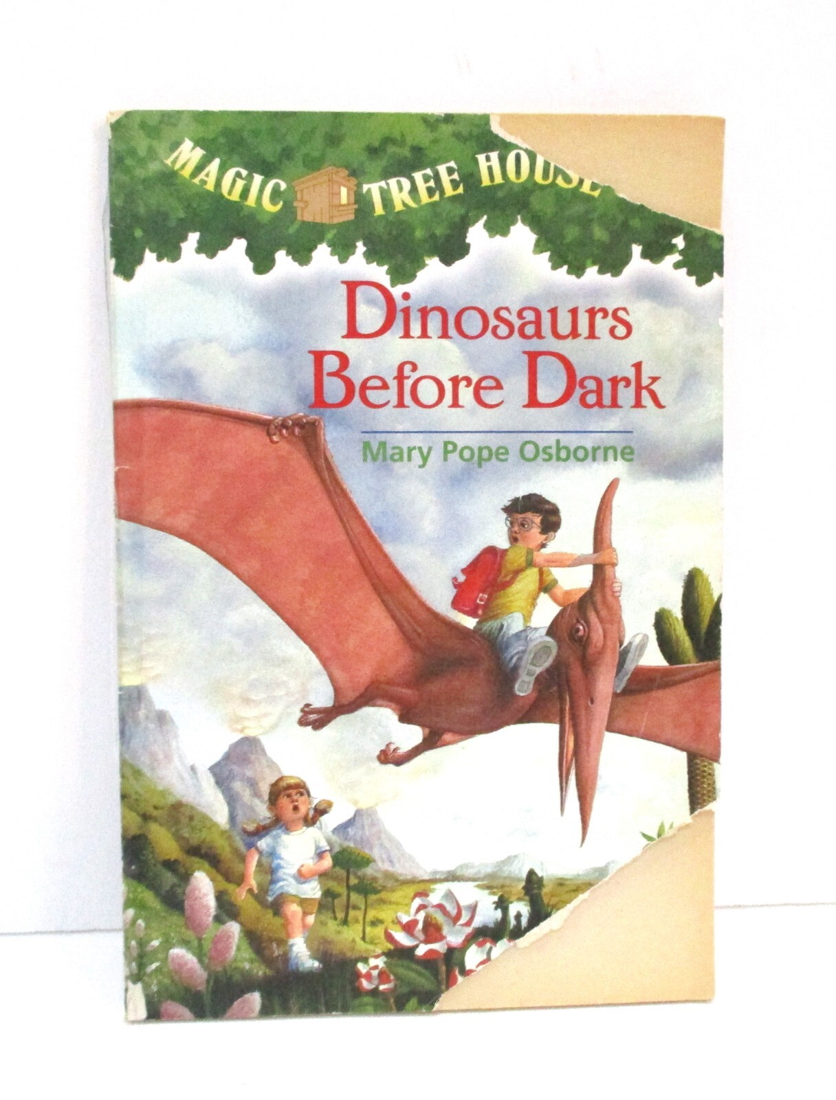 Lot of 12 Assorted Magic Tree House Paperback Books Pre-Owned