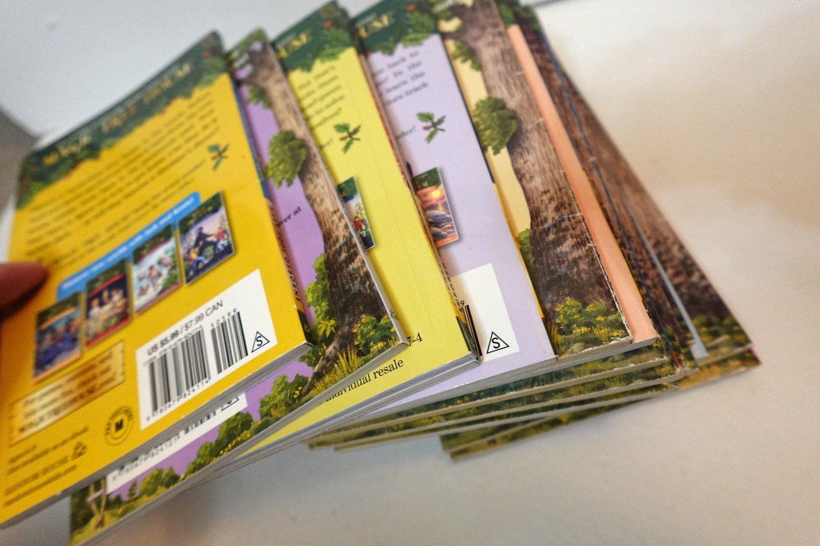Magic Tree House book collection (kid’s paperback book series)