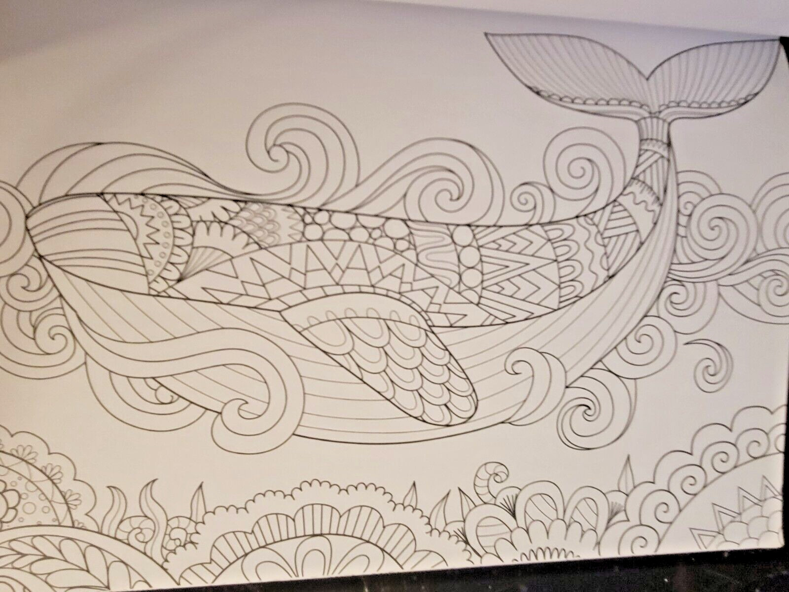 MAJESTIC CREATURES Vol. 18 Adult Coloring Book With 47 Prints Ready To Frame!