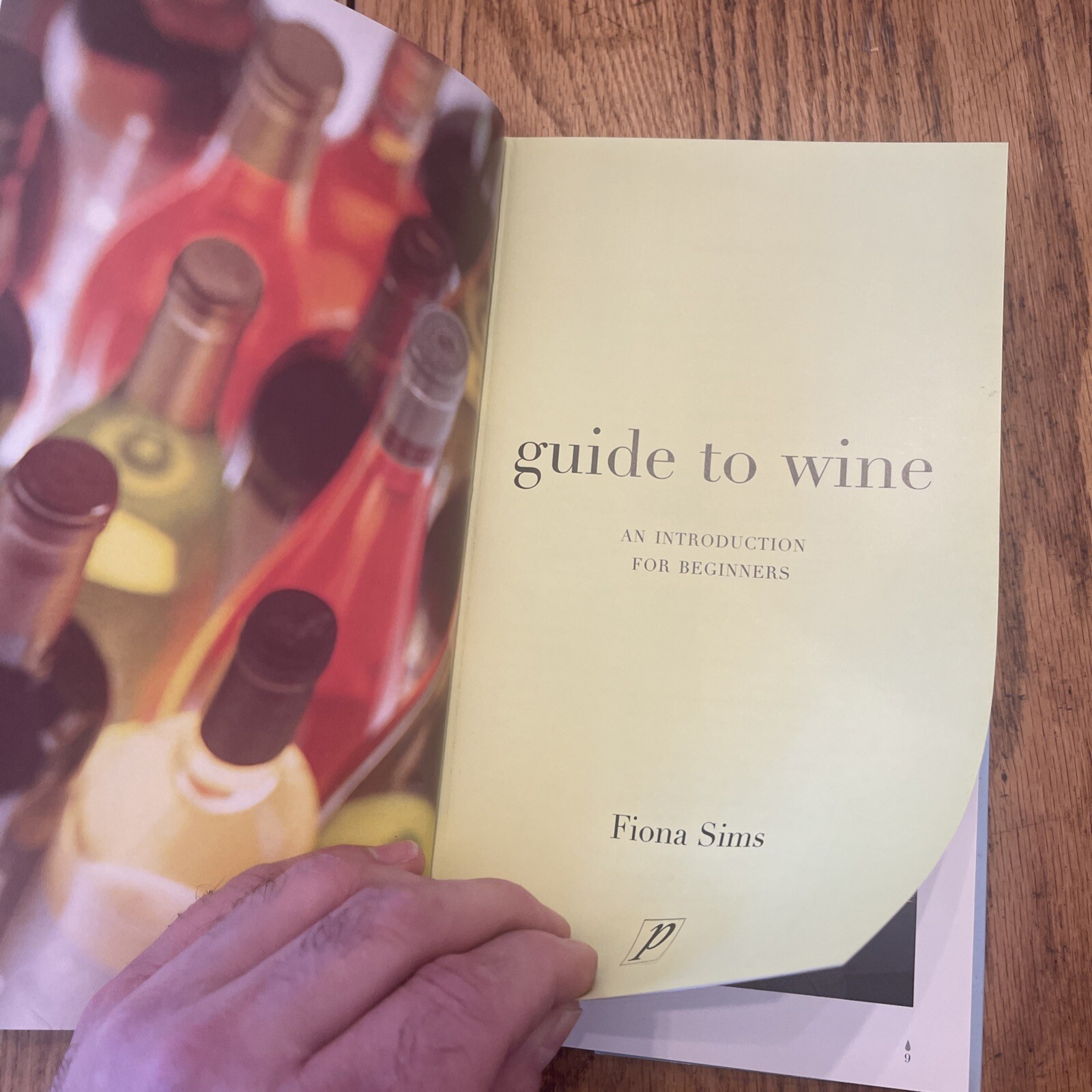 Guide to Wine (Drinks Books) by Fiona Sims