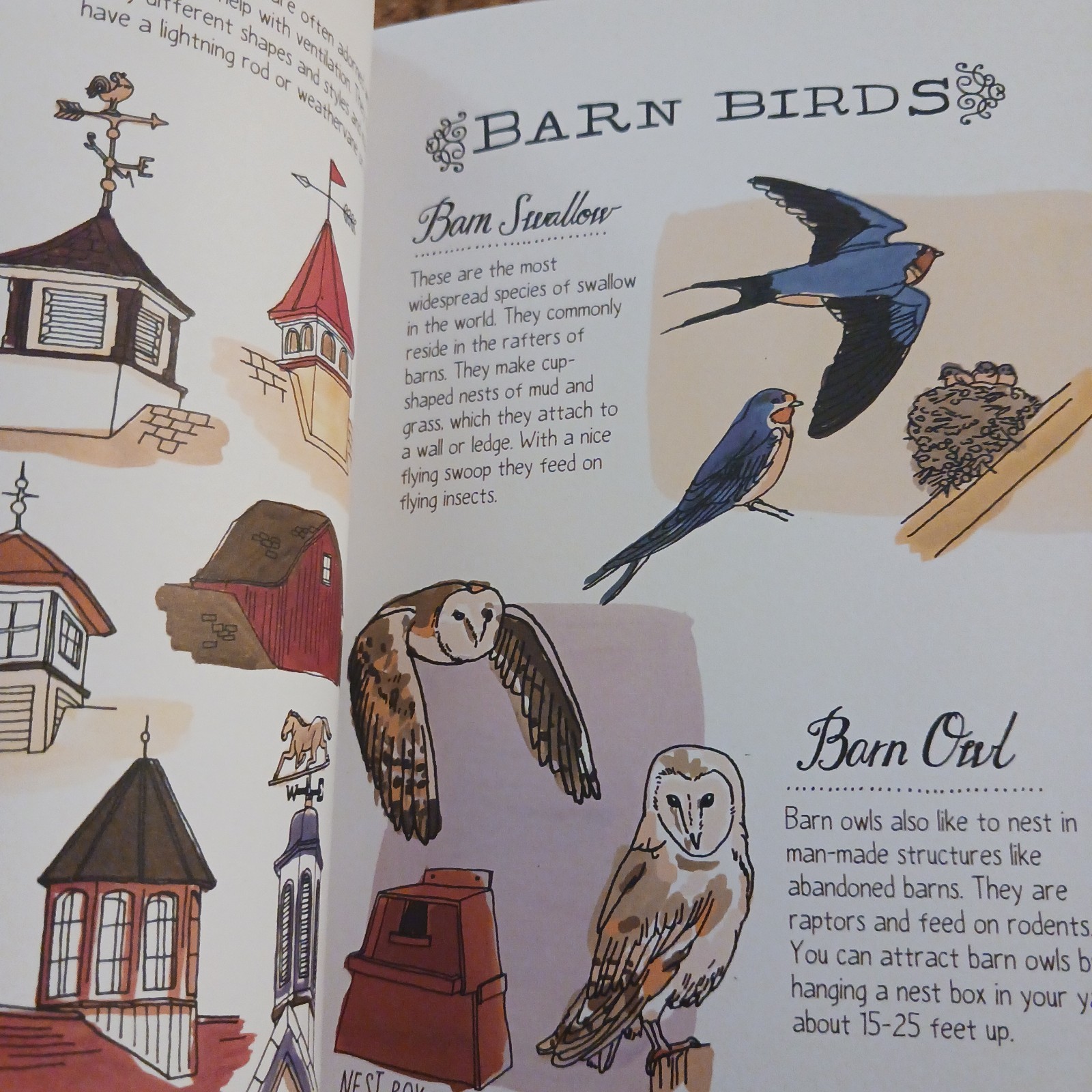 Illustrated Book: FARM ANATOMY Curious Parts & Pieces of Country Life Rothman PB