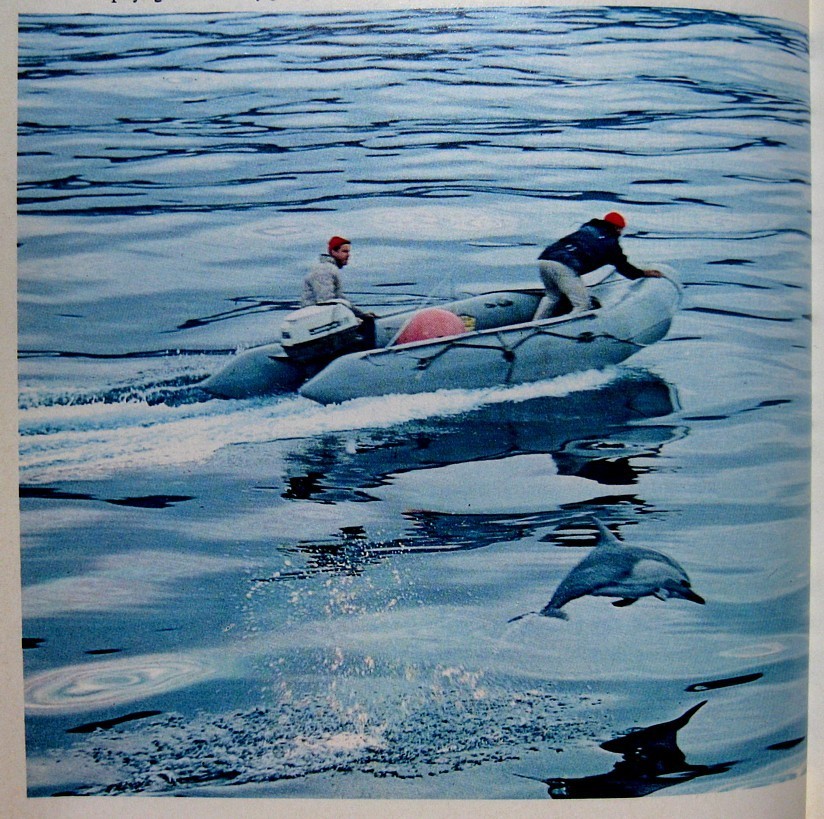 1970 SHARKS Personally Signed by JACQUES COUSTEAU & PHILIPPE COUSTEAU Ocean JAWS