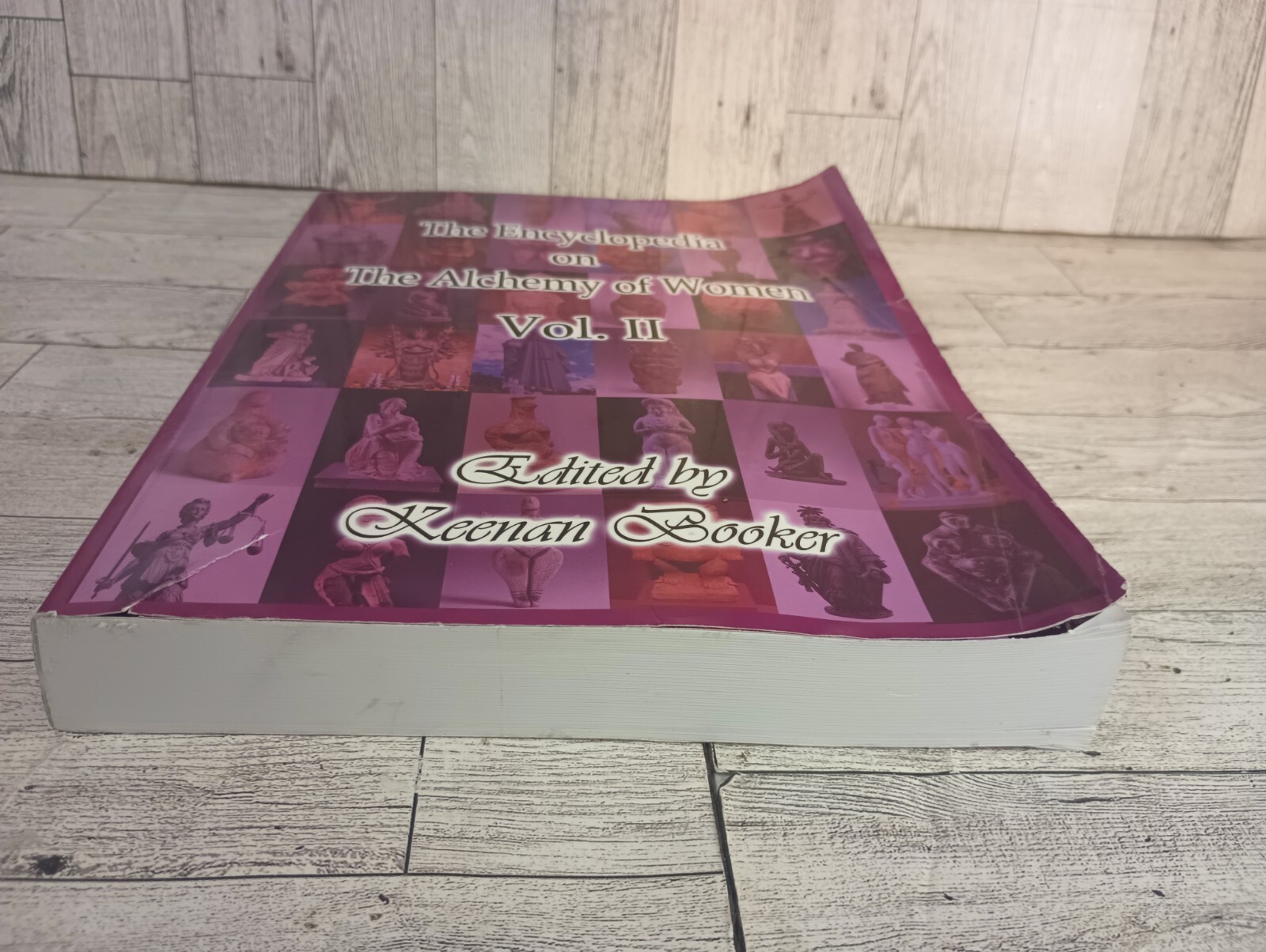 Keenan BookerThe Encyclopedia on the Alchemy of Women Vol. II (2) (The Uterus)