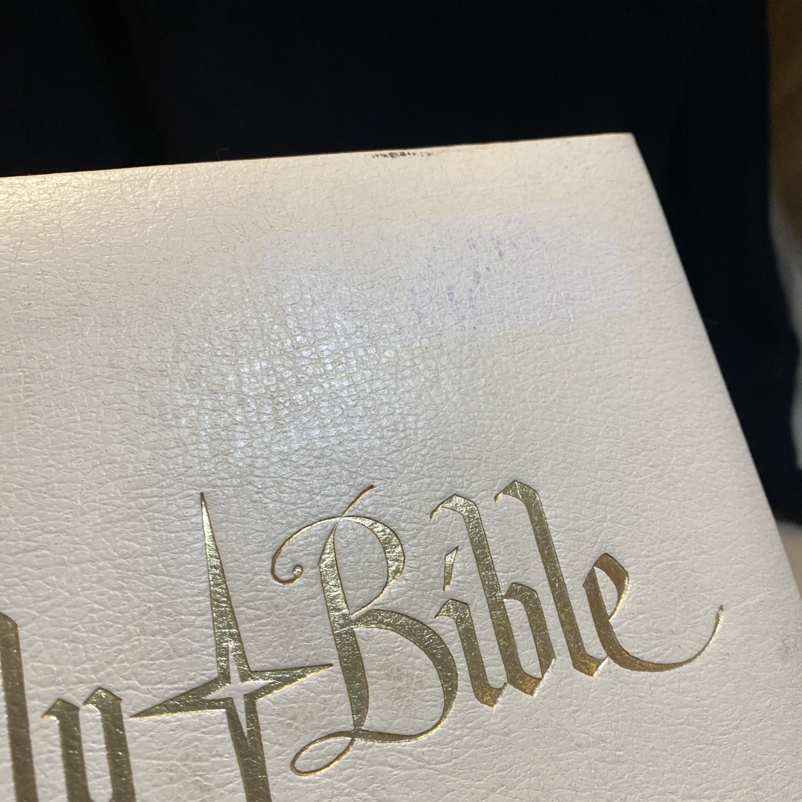 Holy Bible: The New American Bible: Catholic Holy Bible 1971 Ferguson Publishing